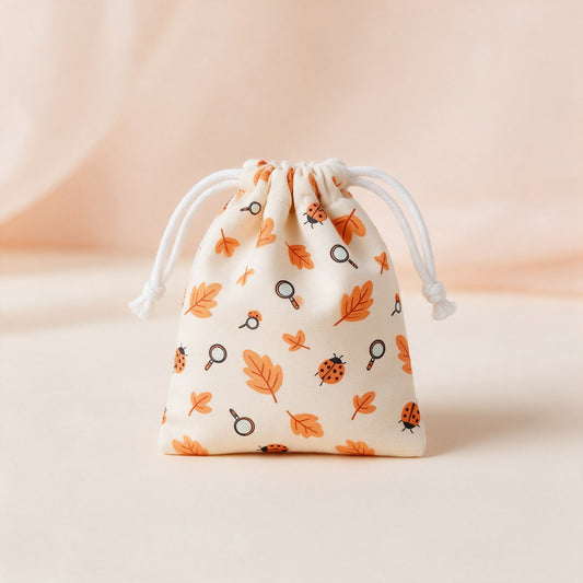 Pochette du Petit Explorateur